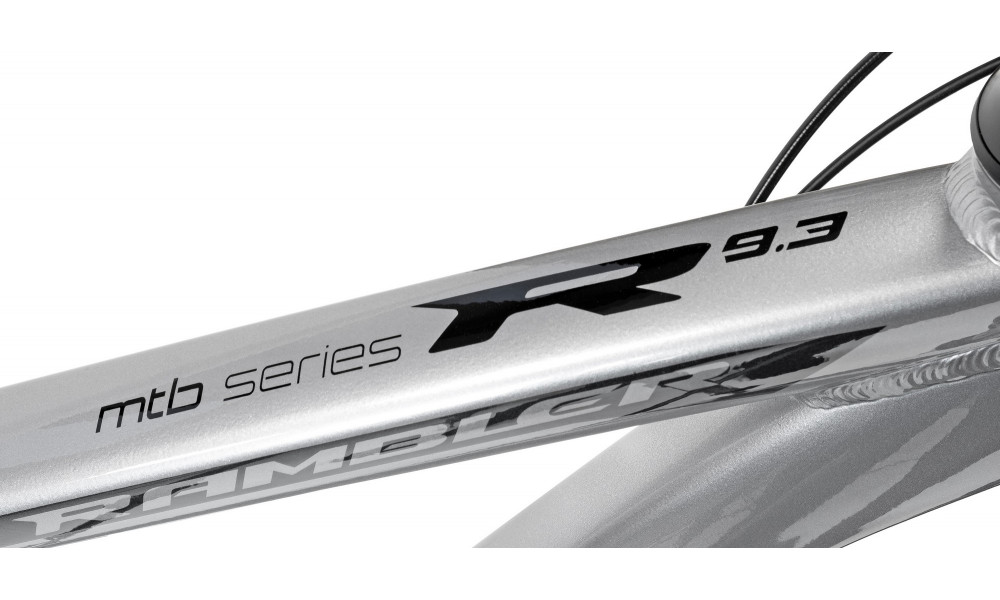 Velosipēds Romet Rambler 29" Disc Limited silver-black - 8
