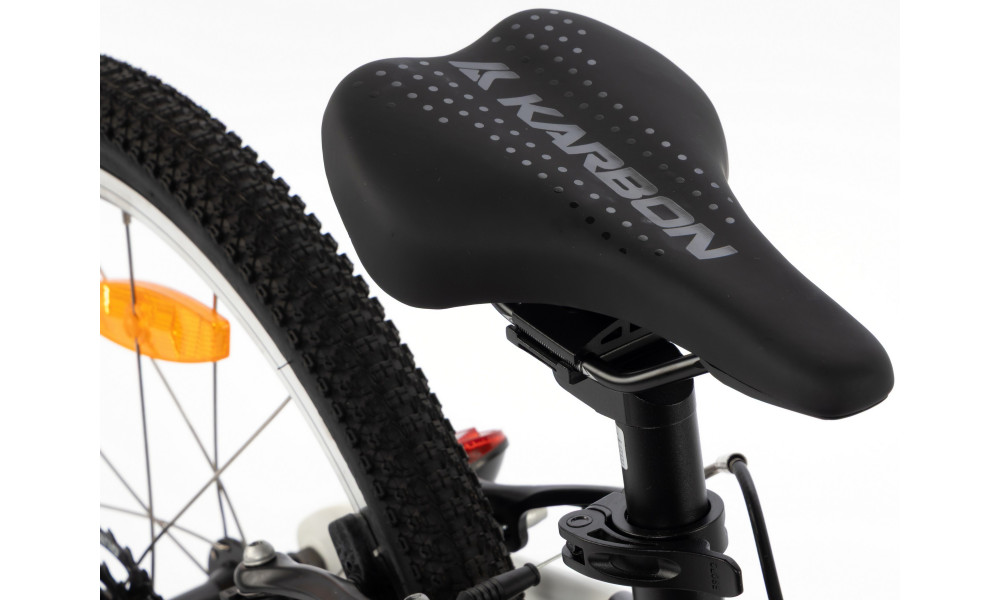 Velosipēds Karbon Superlight 20 black - 5