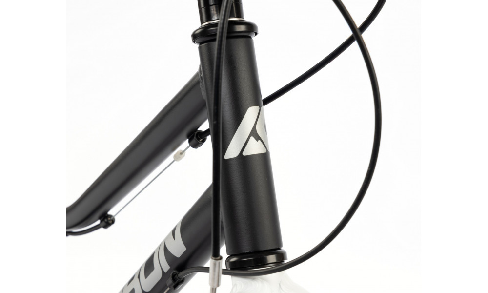 Velosipēds Karbon Superlight 20 black - 8