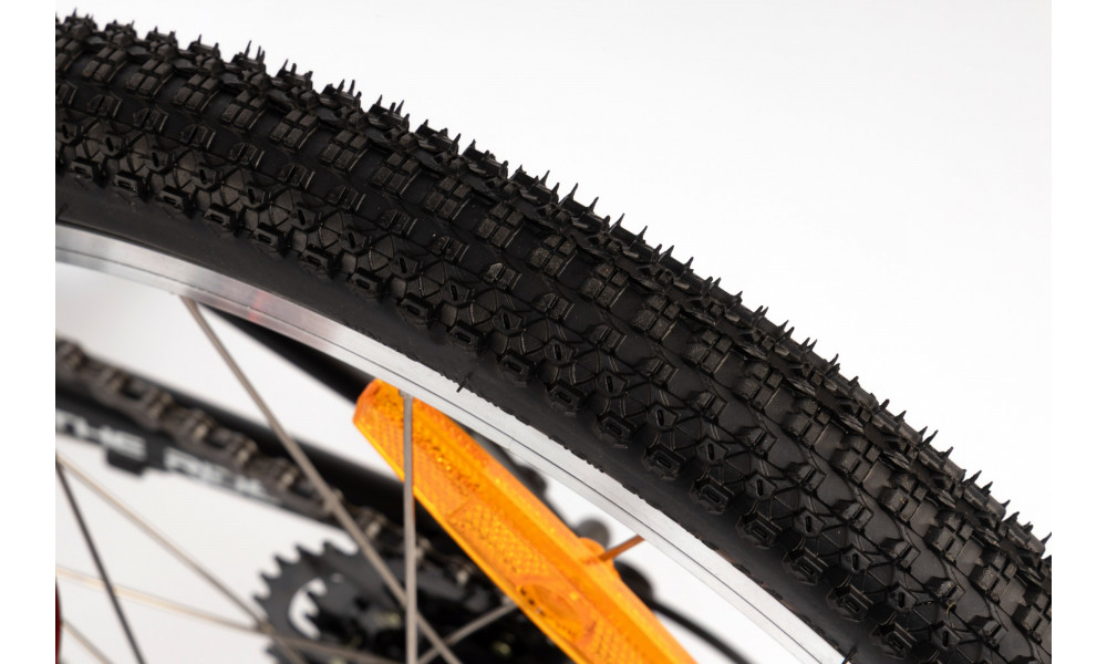 Velosipēds Karbon Superlight 20 red - 9