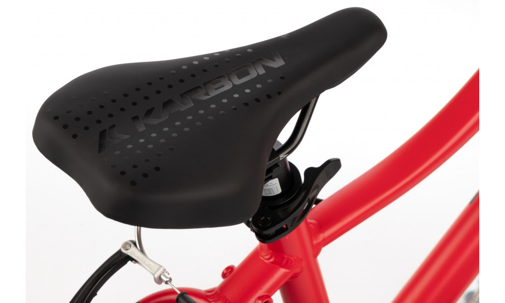 Velosipēds Karbon Superlight 20 red - 13