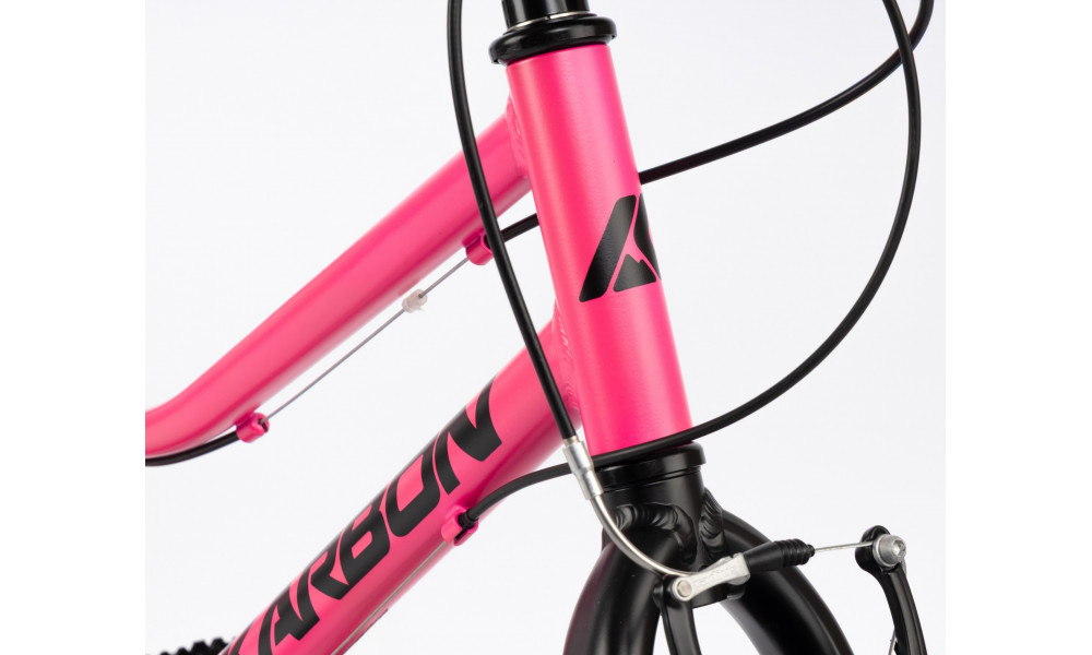 Velosipēds Karbon Superlight 20 pink - 8