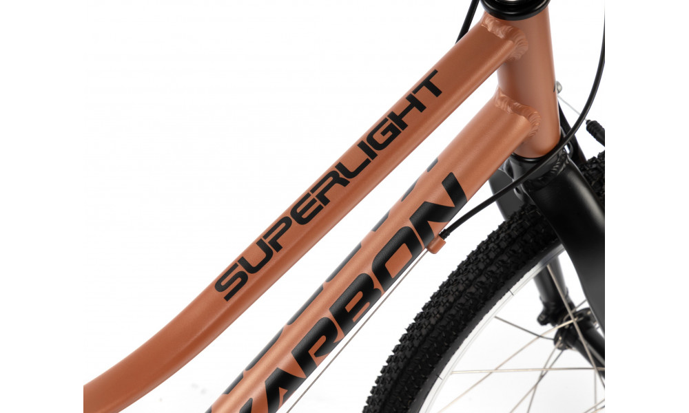 Velosipēds Karbon Superlight 20 copper - 5
