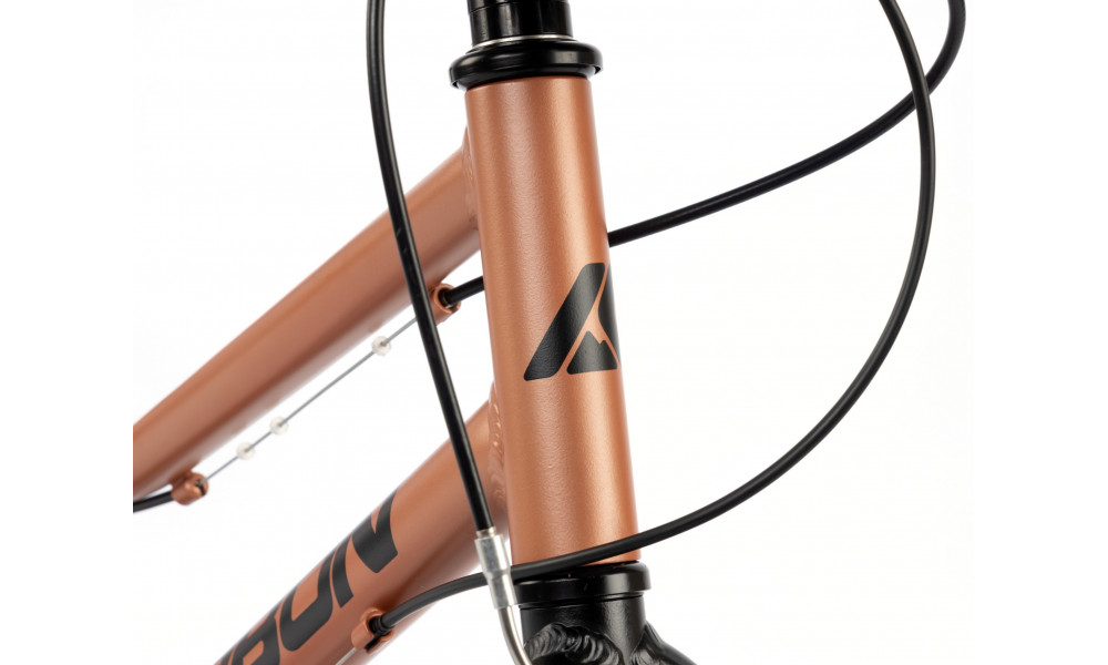 Velosipēds Karbon Superlight 20 copper - 8