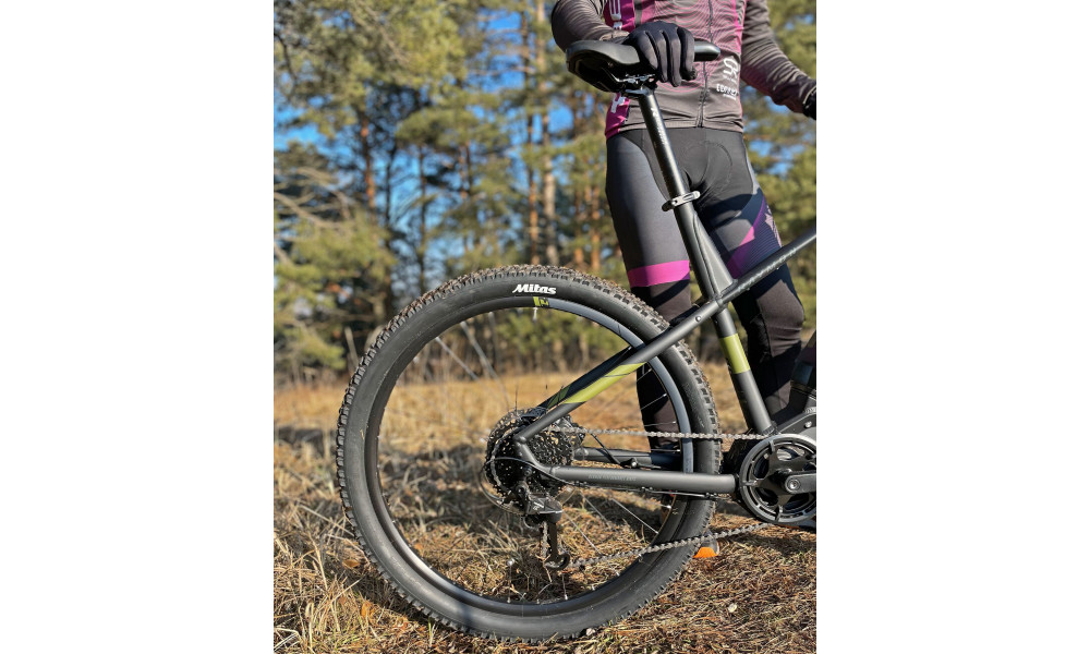 Elektriskais velosipēds Raymon HardRay E 2.0 29" black-armor - 11