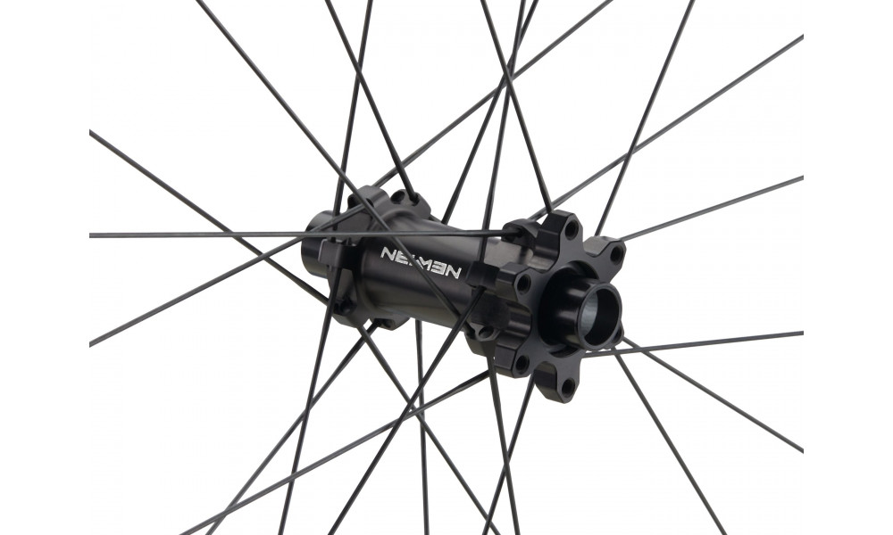 Priekšējais ritenis NEWMEN Kids Evolution Alu X.A.25 24" 24H SP 6-bolt 15x100 - 3