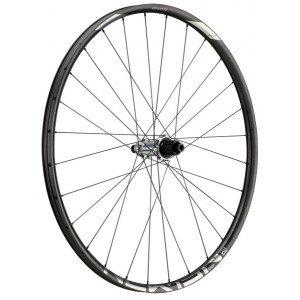 Aizmugurējais ritenis NEWMEN Advanced Carbon SL X.A.25 29" 28H SP C-Lock 12x148 MicroSpline