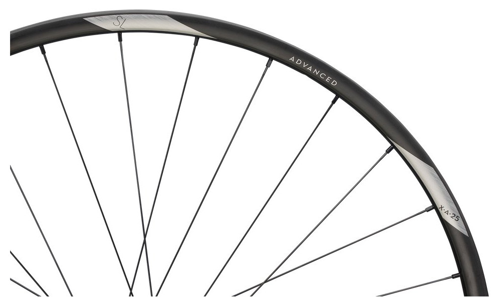Aizmugurējais ritenis NEWMEN Advanced Carbon SL X.A.25 29" 28H SP C-Lock 12x148 MicroSpline - 4