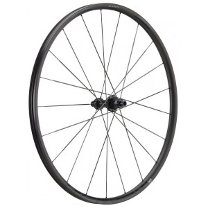 Aizmugurējais ritenis NEWMEN Advanced Carbon SL X.R.25 VONOA 622 21H R C-Lock 12x142 XDR