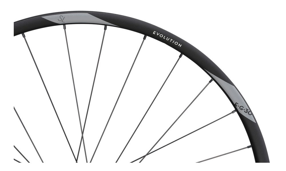 Aizmugurējais ritenis NEWMEN Evolution Alu SL E.G. 30 27.5" 28H SP 6-bolt 12x148 HG - 2