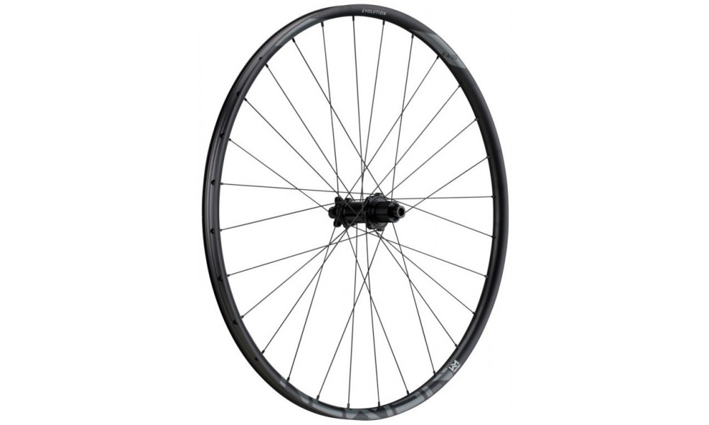 Aizmugurējais ritenis NEWMEN Evolution Alu SL X.A.25 29" 28H SP 6-bolt 12x148 MicroSpline 