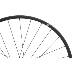 Aizmugurējais ritenis NEWMEN Evolution Alu X.A.25 27.5" 28H SP 6-bolt 12x148 MicroSpline