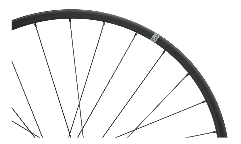 Aizmugurējais ritenis NEWMEN Evolution Alu X.A.25 27.5" 28H SP 6-bolt 12x148 MicroSpline - 2