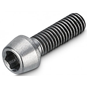 Stūres iznesuma skrūve NEWMEN Hex Titanium M5x16 TL10.5 for Evolution SL