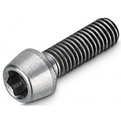 Stūres iznesuma skrūve NEWMEN Hex Titanium M5x16 TL10.5 for Evolution SL