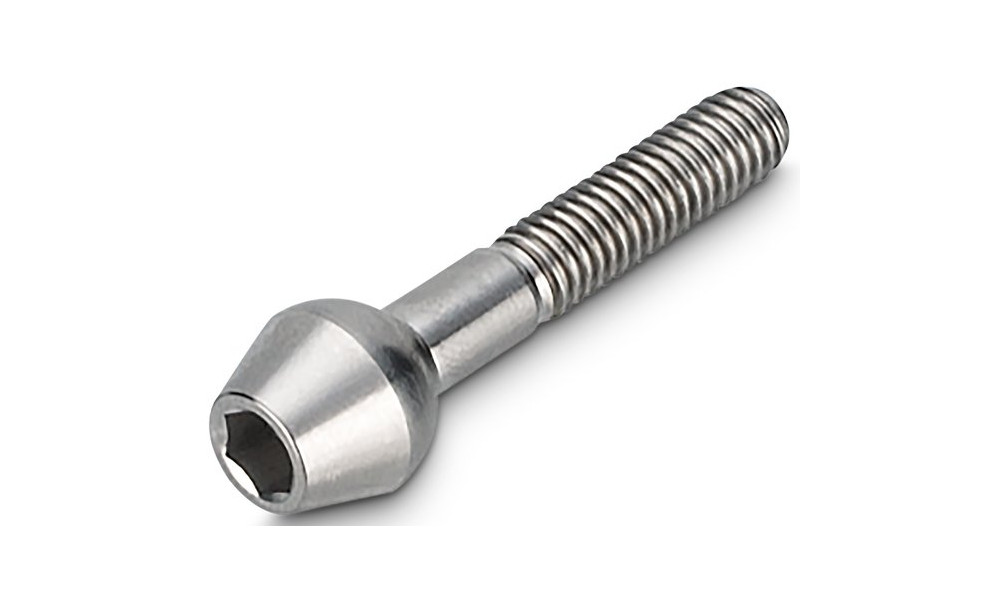 Sēdekļa turētāja skrūve NEWMEN Hex Titanium M6x30 TL10.5 - 1
