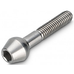 Sēdekļa turētāja skrūve NEWMEN Hex Titanium M6x30 TL10.5