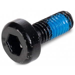 Skrūve ACID M6x14-8.8 spherical