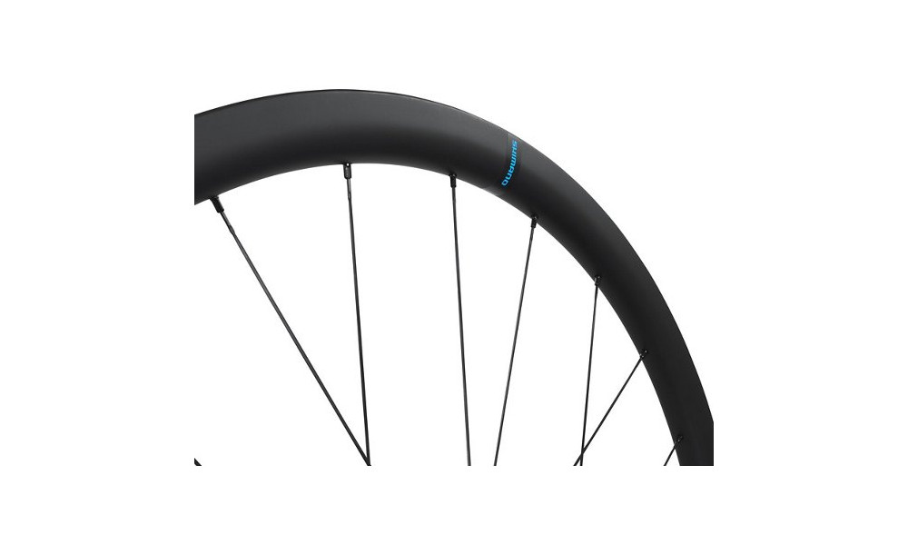 Priekšējais ritenis 28" Shimano WH-RS710-C32-TL Carbon 12mm E-Thru Disc CL - 2