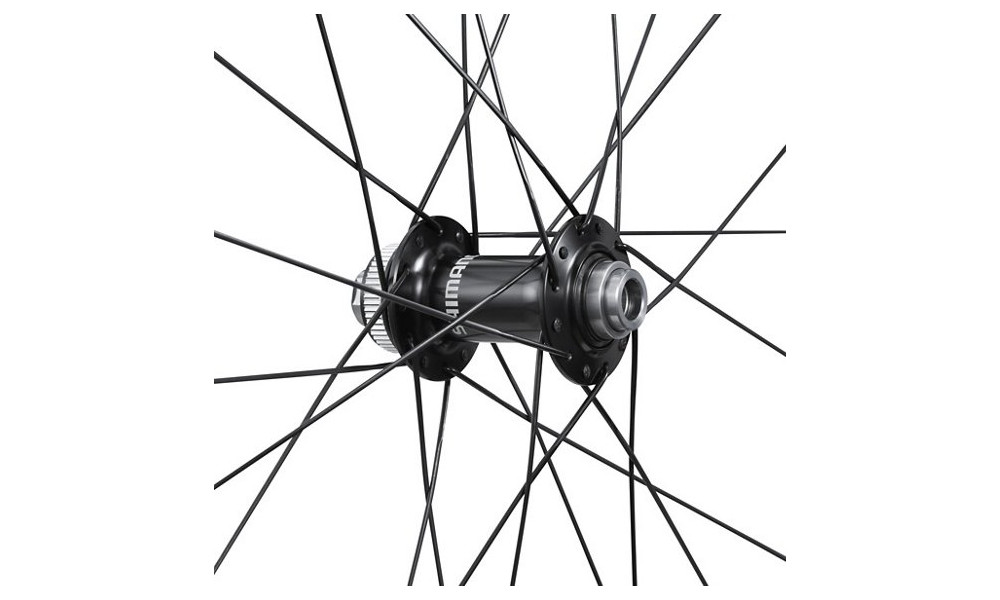 Priekšējais ritenis 28" Shimano WH-RS710-C46-TL Carbon 12mm E-Thru Disc CL - 4