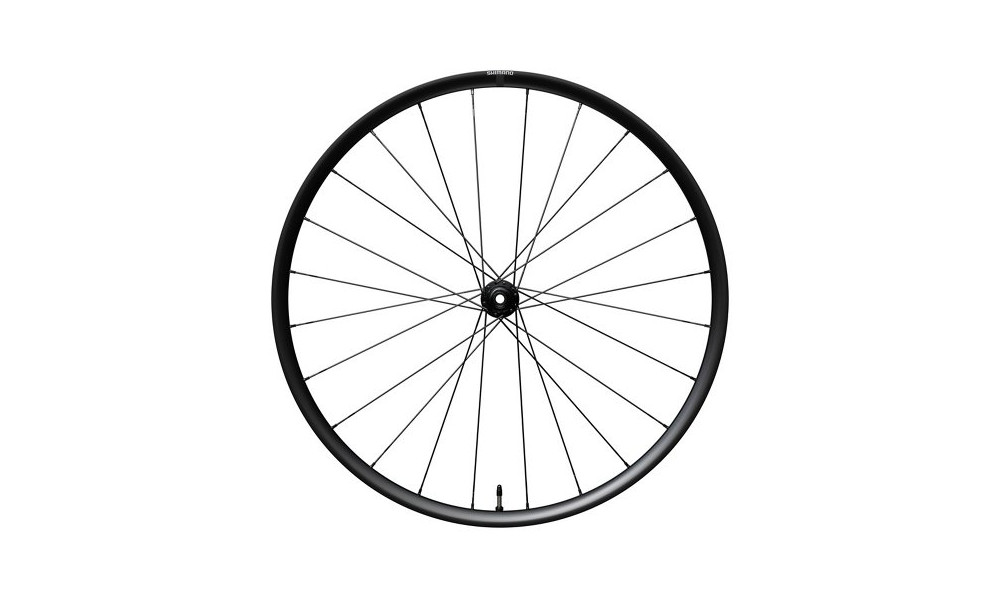 Priekšējais ritenis 28" Shimano GRX WH-RX180-TL 12mm E-Thru Disc CL - 1