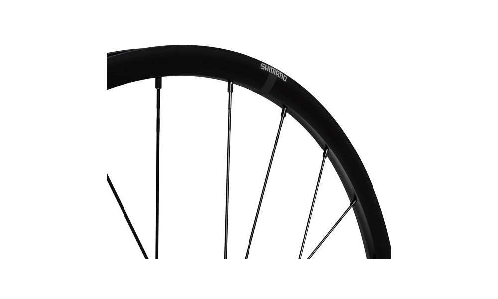 Priekšējais ritenis 28" Shimano GRX WH-RX180-TL 12mm E-Thru Disc CL - 2