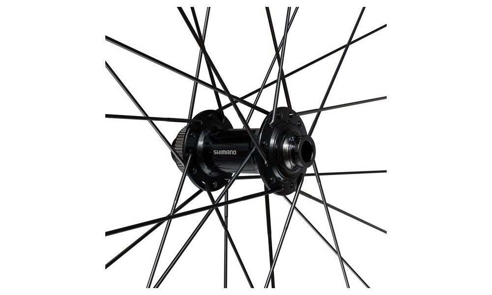 Priekšējais ritenis 28" Shimano GRX WH-RX180-TL 12mm E-Thru Disc CL - 3