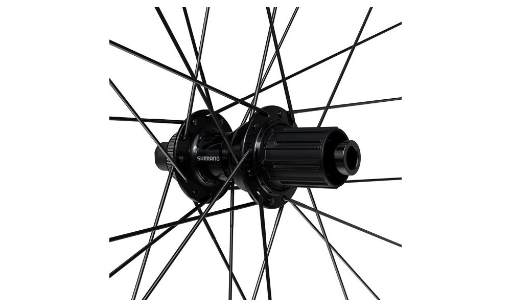 Aizmugurējais ritenis 28" Shimano GRX WH-RX180-TL 24H 622 CL 12x142 12-speed MicroSpline - 3