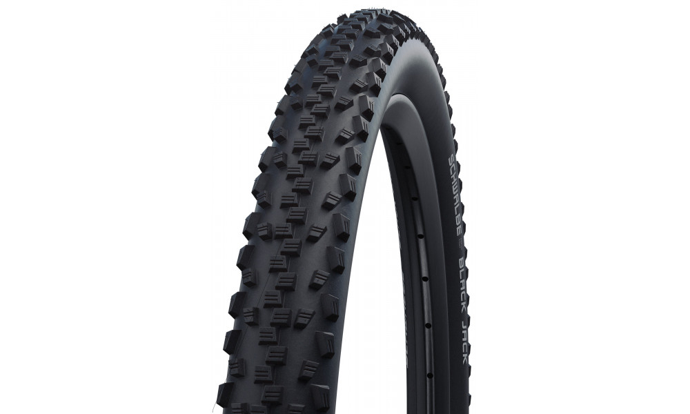 Riepa 26" Schwalbe Black Jack HS 407 Active Wired 47-559 / 26x1.75 Black - 1