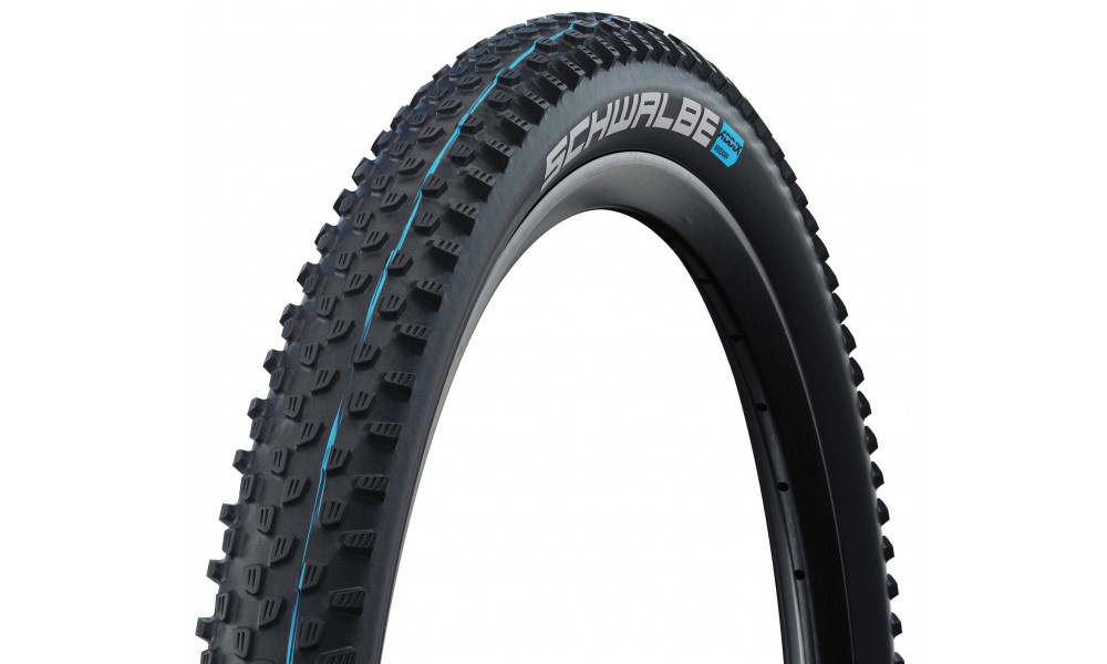 Riepa 29" Schwalbe Racing Ray HS 489 Evo Fold TLE 57-622 / 29x2.25 Addix SpeedGrip - 1