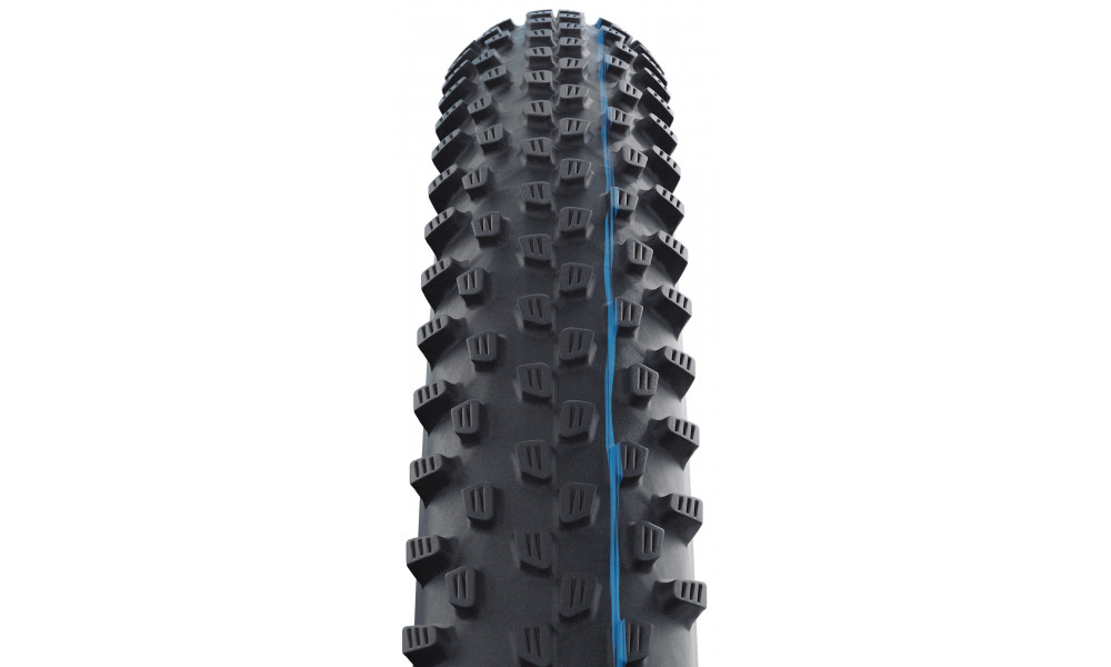 Riepa 29" Schwalbe Racing Ray HS 489 Evo Fold TLE 57-622 / 29x2.25 Addix SpeedGrip - 3