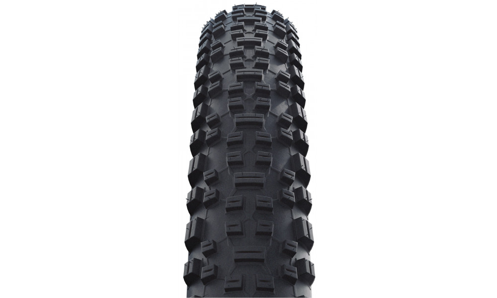 Riepa 29" Schwalbe Rapid Rob HS 425 Active Wired 54-622 / 29x2.10 - 2