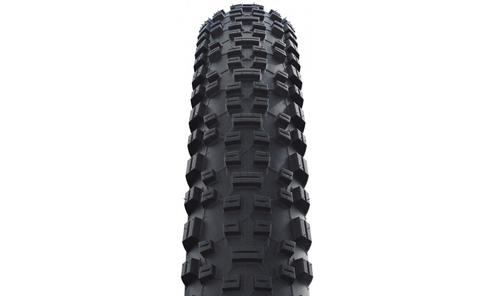 Riepa 29" Schwalbe Rapid Rob HS 425, Active Wired 57-622 / 29x2.25 - 2