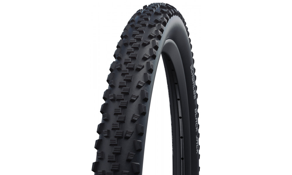 Riepa 24" Schwalbe Black Jack HS 407, Active Wired 54-507 Black - 1