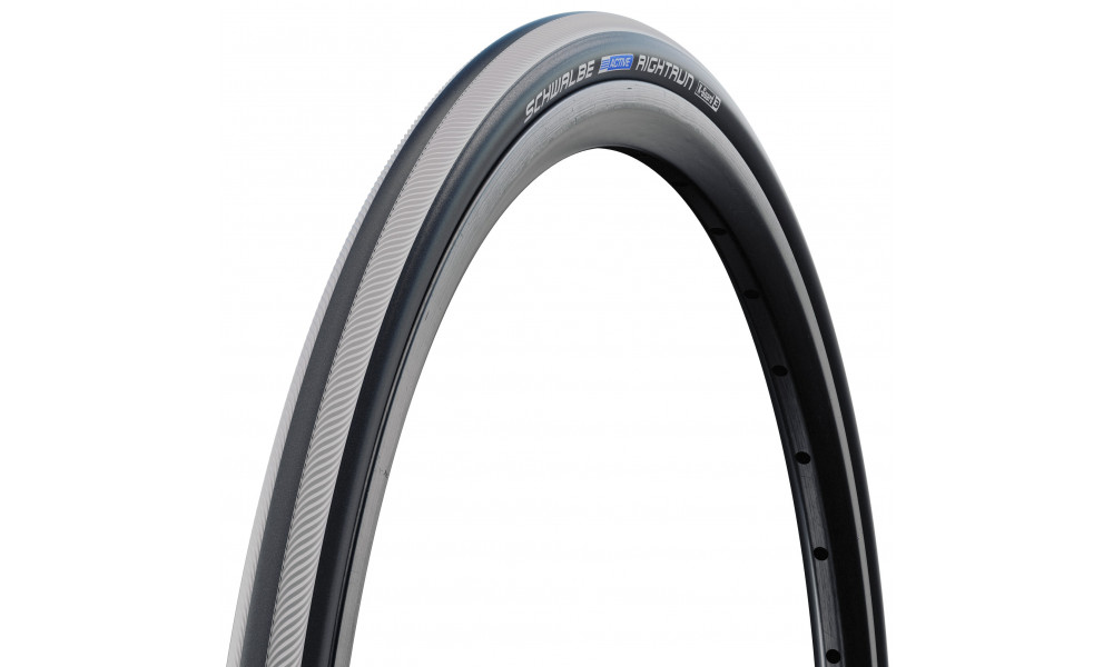 Riepa 24" Schwalbe Rightrun HS 387, Active Wired 25-540 Grey - 1