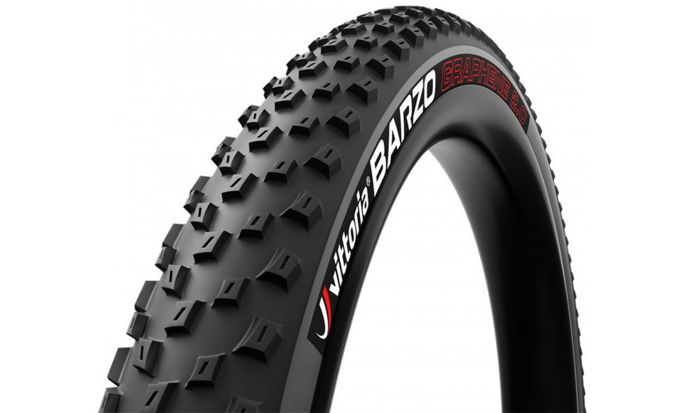 Riepa 29" Vittoria Barzo TNT Fold 29x2.1 / 52-622 anthracite - 1