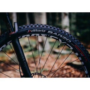 Riepa 29" Vittoria Barzo TNT Fold 29x2.1 / 52-622 anthracite