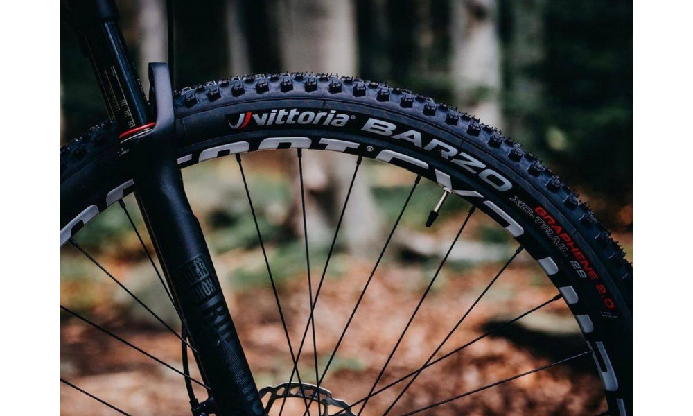 Riepa 29" Vittoria Barzo TNT Fold 29x2.1 / 52-622 anthracite - 2