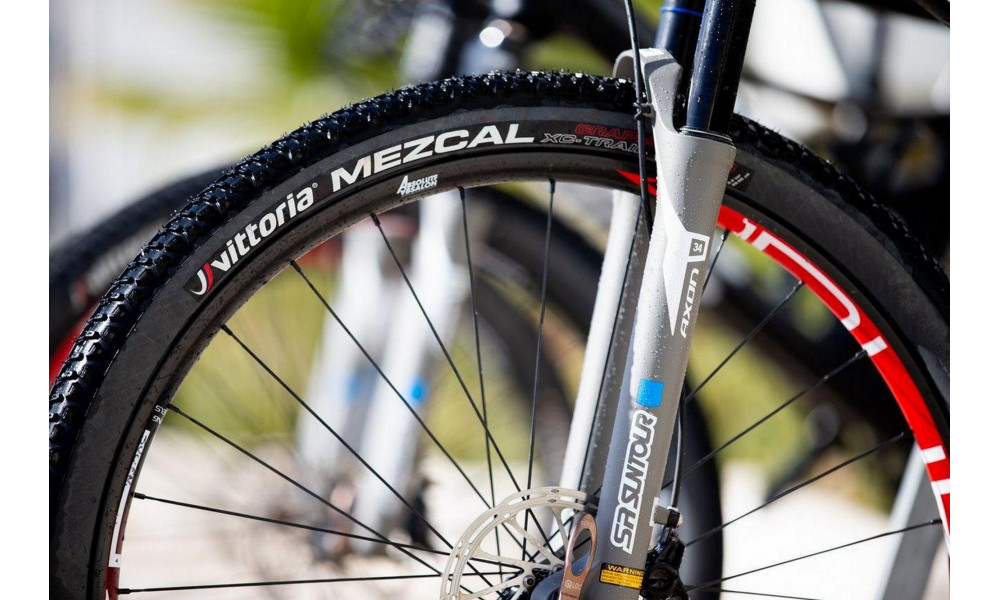 Riepa 29" Vittoria Mezcal TNT Fold 29x2.1 / 52-622 anthracite - 3