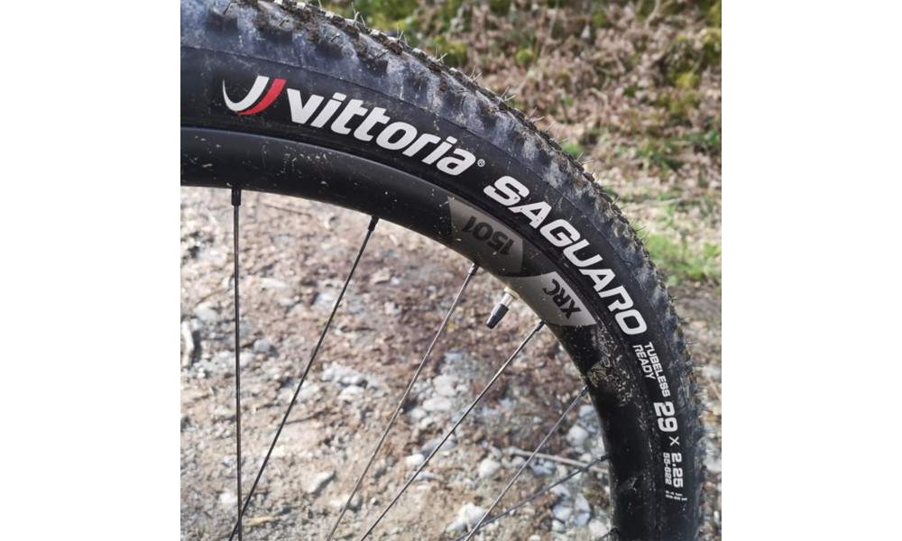Riepa 29" Vittoria Saguaro TLR Fold 29x2.25 / 55-622 black - 5