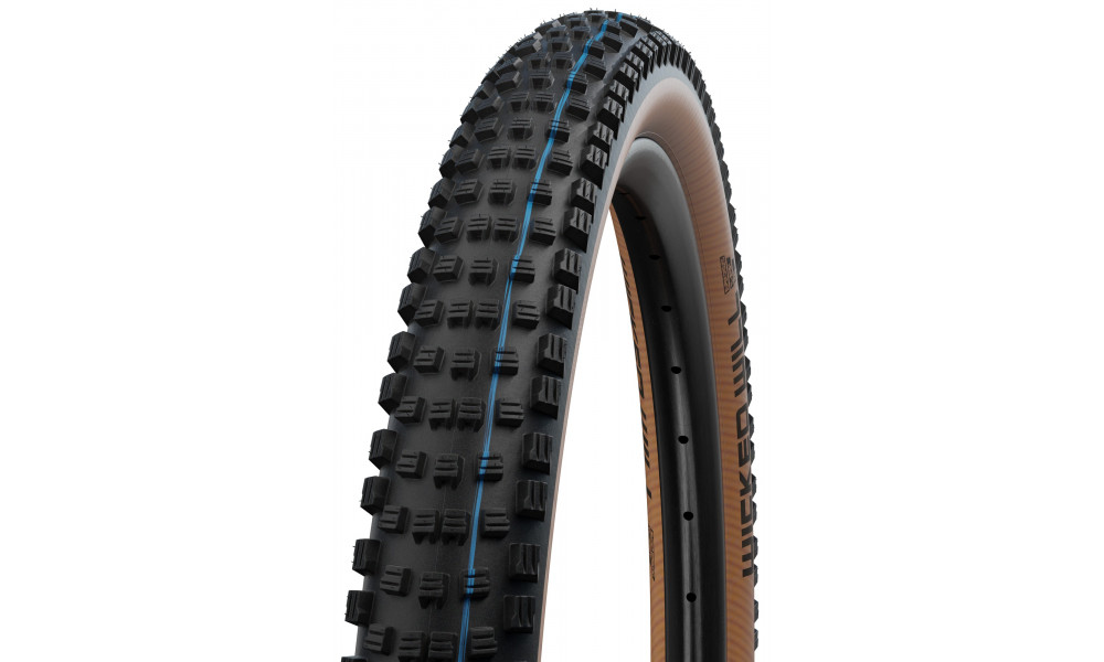 Riepa 29" Schwalbe Wicked Will HS 614 Evo Fold TLE 62-622 / 29x2.40 Super Race Addix SpeedGrip Transparent - 1