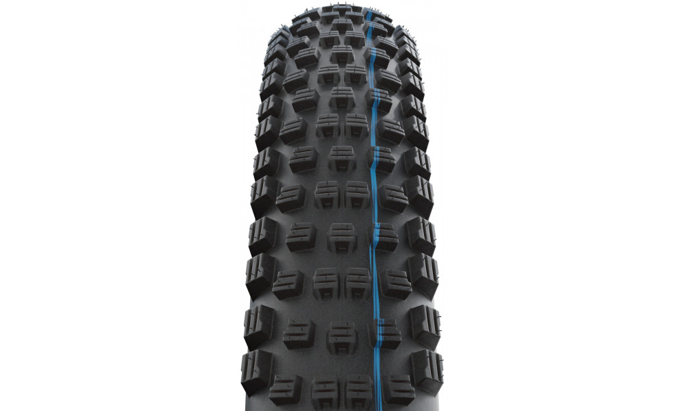 Riepa 29" Schwalbe Wicked Will HS 614 Evo Fold TLE 62-622 / 29x2.40 Super Race Addix SpeedGrip Transparent - 3
