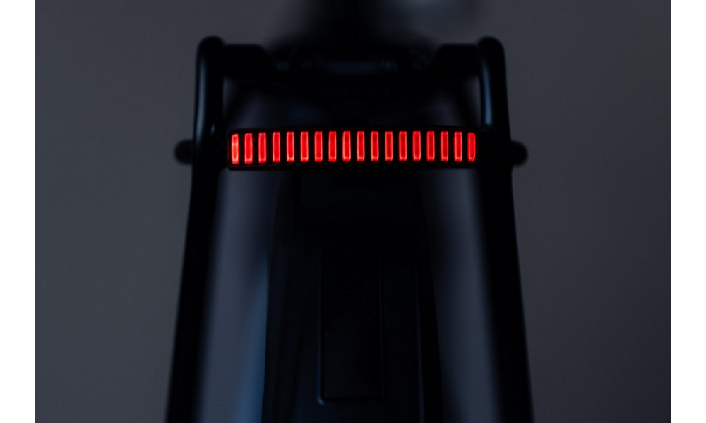 Aizmugurējais lukturis ACID Pro-D HPA 6V carrier dynamo - 2