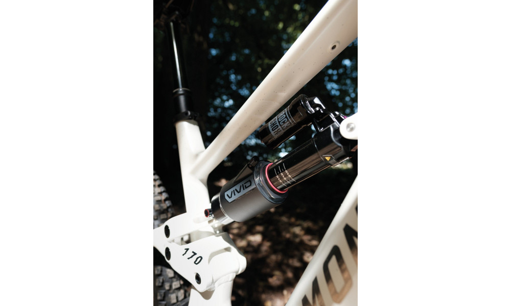 Elektriskais velosipēds Raymon Ravor LT Pro 29"-27.5" 840 2026 white sparkle - 4