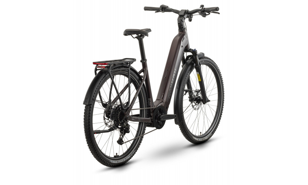 Elektriskais velosipēds Raymon Tahona Comp 29" 800 Easy Entry 2026 plum noir - 3