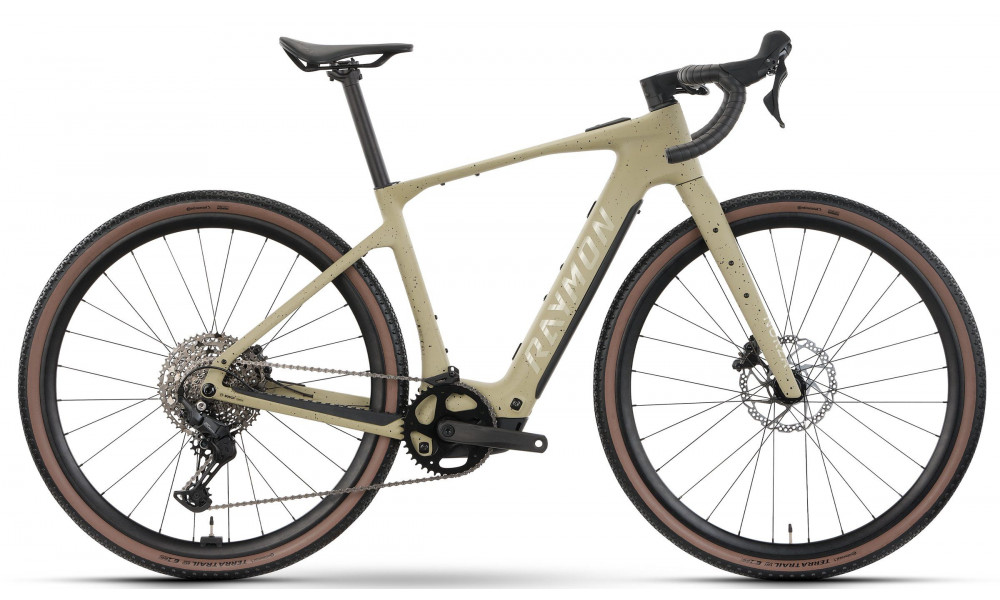 Elektriskais velosipēds Raymon Norza Comp 400 2026 greige freckels - 1