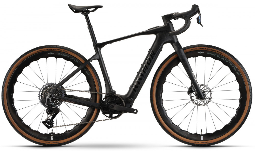 Elektriskais velosipēds Raymon Norza Ultra 400 2026 carbon sparkle - 1