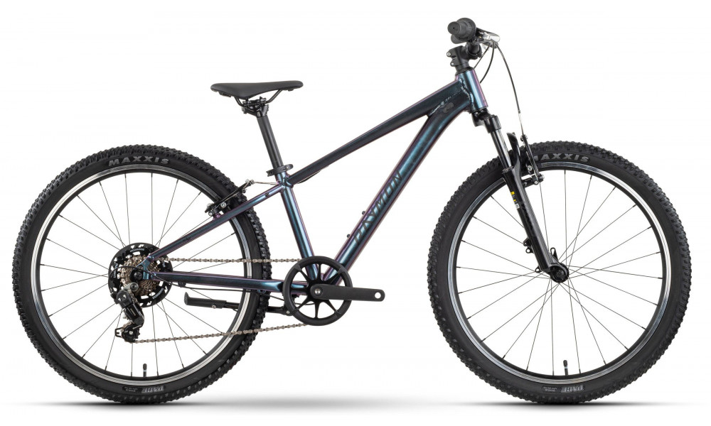 Velosipēds Raymon Nayta 24 Comp 2026 iridiumblack - 1