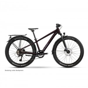 Velosipēds Raymon Nayta 26 Pro Street 2026 floridplum