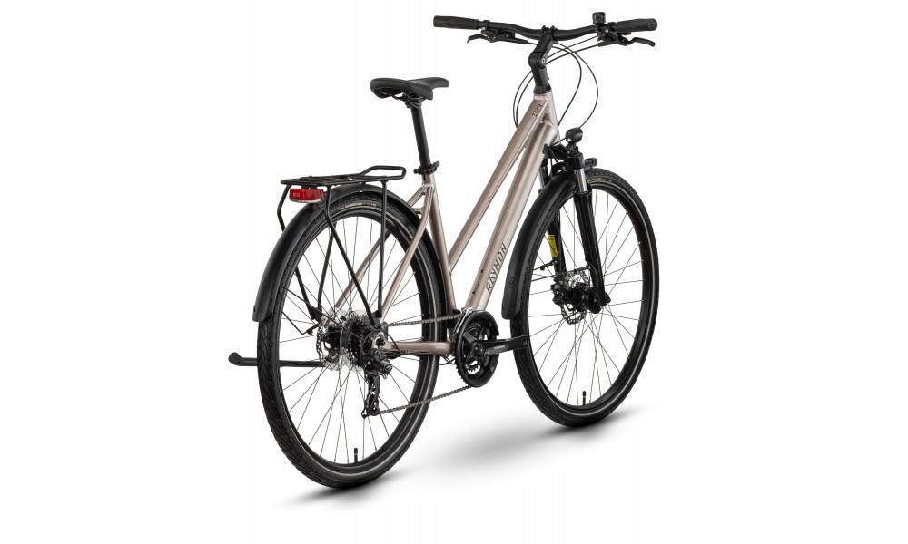 Velosipēds Raymon Zayn Comp Trapeze 2026 taupe grey-black - 3